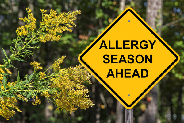 Is it Allergies or Just a Cold? A Spring Checklist for South Africans