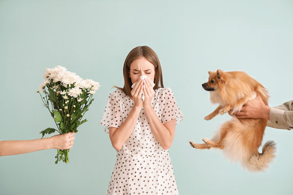 Everything You Need to Know About Respiratory Allergies