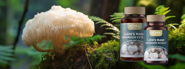 Lion's Mane Delivers Results: Insights from Research