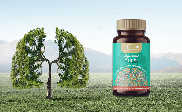 Breathe easy with Tulsi: A Traditional Remedy for the Cold Season